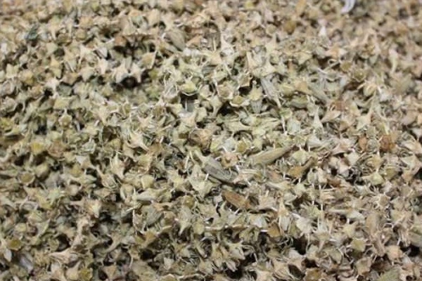 Fiyatı kırmızı eti 3’e katladı