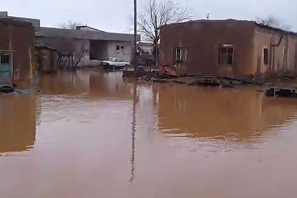 Şanlıurfa'da ev ve iş yerlerini su bastı