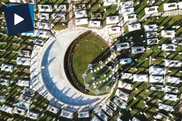 Bosna'dan Zeytin Dalı Harekatı'na destek