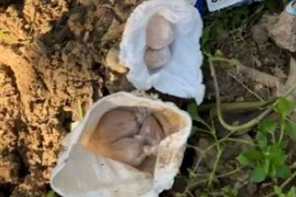 Toprağın altından uyuşturucu çıktı