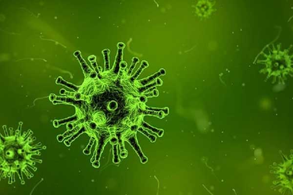 İnsüline benzer hormon üreten virüs bulundu