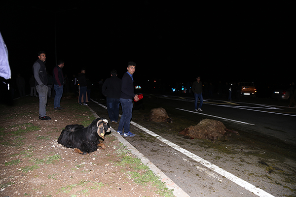 Batman'da koyun sürüsüne dalan minibüsü ateşe verdiler