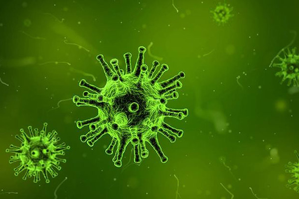 İnsüline benzer hormonlar üreten virüsler keşfedildi