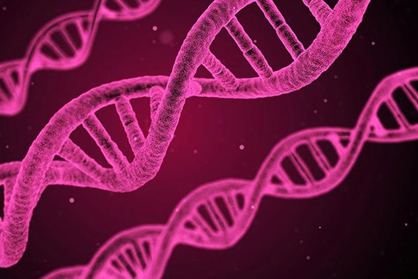 İnsan yüzünü şekillendiren 15 gen tespit edildi