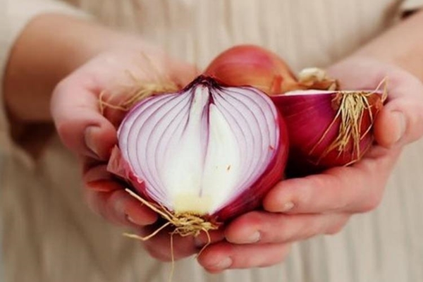 Soğan nasıl muhafaza edilir?