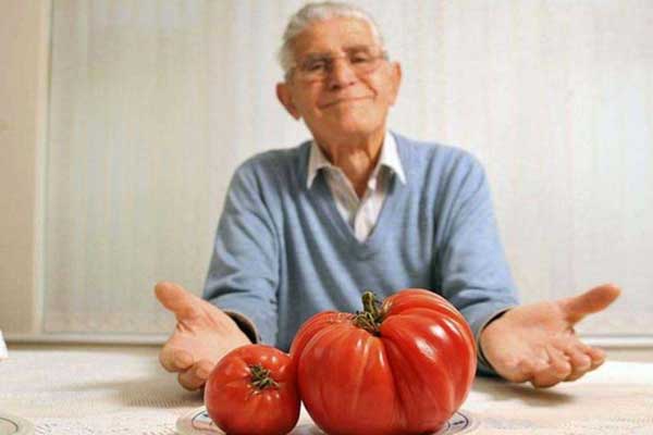 Dünyanın en büyük meyve ve sebzeleri