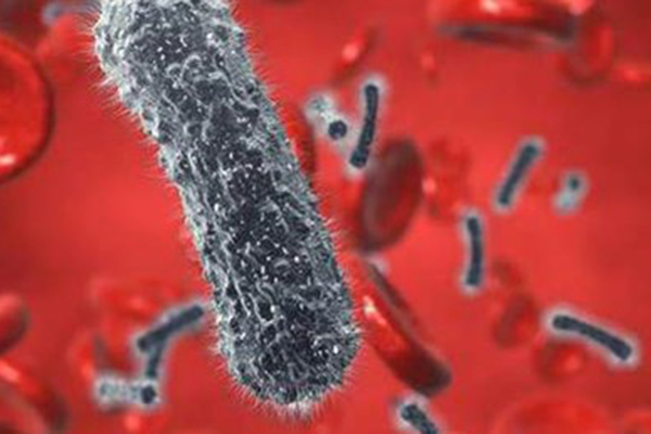 Hepatit C tedavi edilmezse kansere yol açabilir