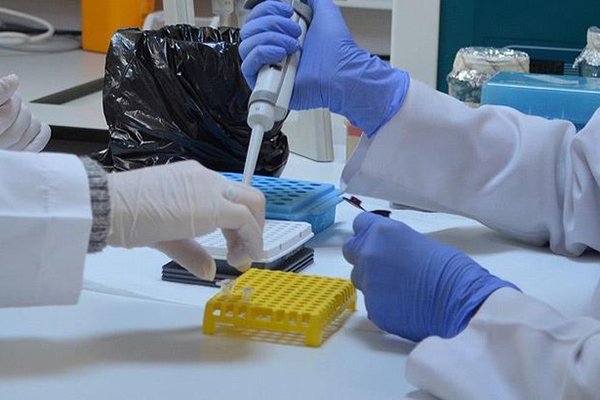 Biyolojik yaşı belirleyen test geliştirildi