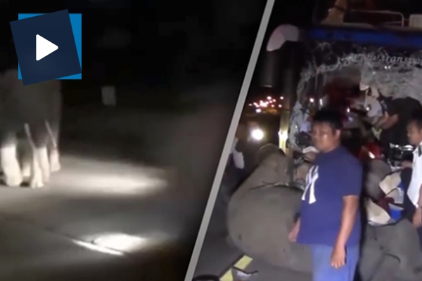 Feci kaza kamerada: Otobüs file çarptı!