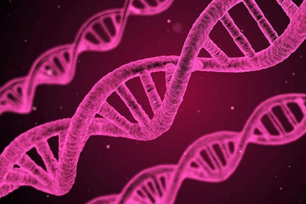 Kanserin tedavisinde DNA nanorobotları devrede