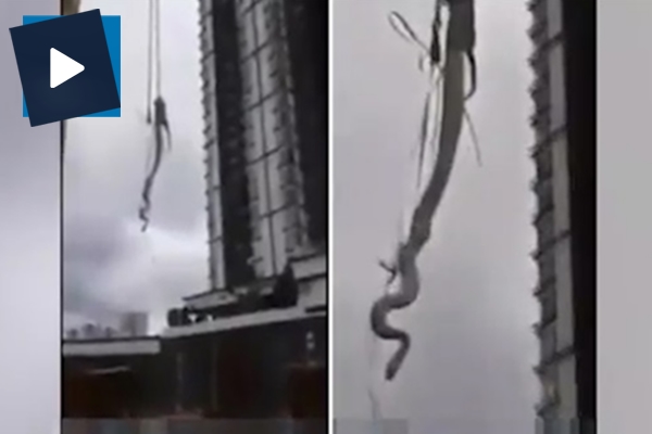 Binaya giren dev yılan vinçle çıkarıldı!