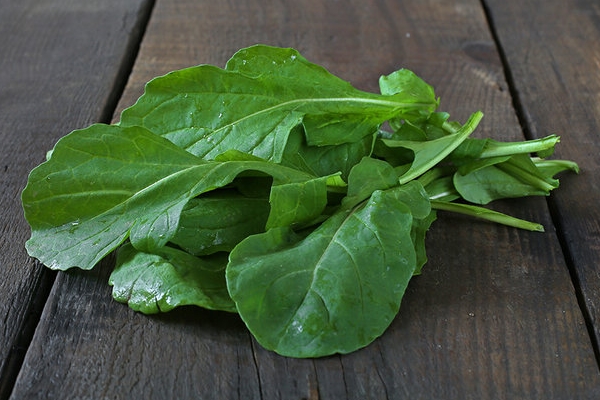 Rokanın yararları saymakla bitmiyor