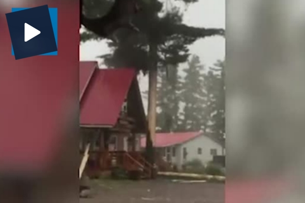 Yıldırım düşen ağaç bakın ne hale geldi!