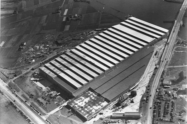 Akılalmaz taktik! Savaş uçakları görmesin diye...