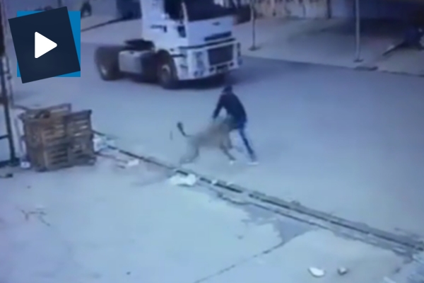 Bu reflekse şapka çıkartılır