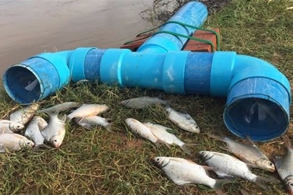 İşte sıra dışı balık tutma yöntemi