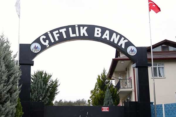 Çiftlik Bank'ın tavukları satıldı