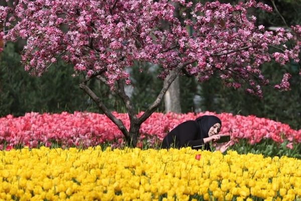 Bursa, 5 milyon çiçekle renklendi