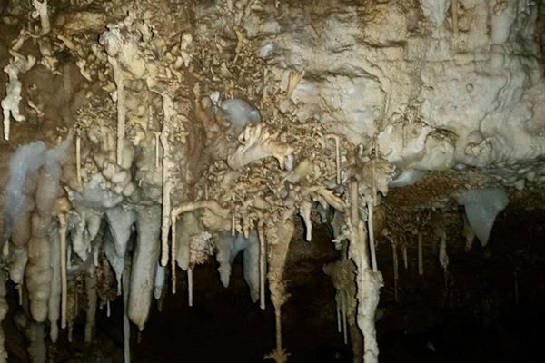 Operasyon bölgesinde bulundu