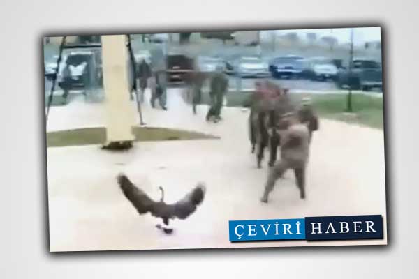 ABD askerleri kazdan korktu