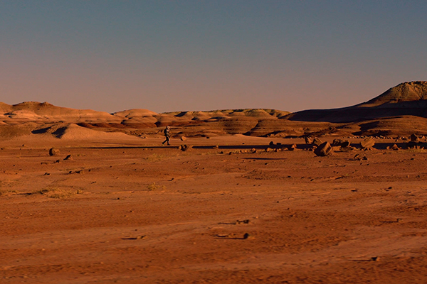 Kızıl Gezegen'i robot arılar keşfedecek