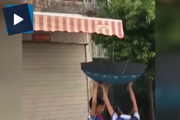 Küçük kediyi düşmekten kurtaran koca yürekli çocuklar