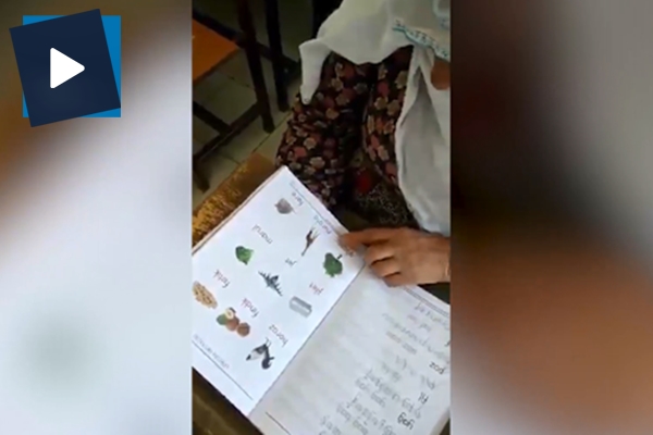 Sevimli teyzenin uyanıklığı izleyenleri kahkahaya boğdu