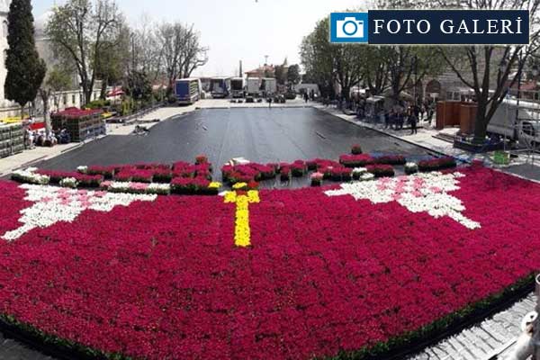 Dünyanın en büyük canlı lale halısı Sultanahmet Meydanı'nda