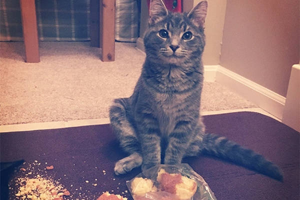 Suçüstü yakalandılar