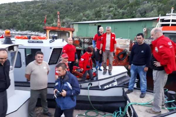 Muğla'da yaralı bir Albino fok görüldü