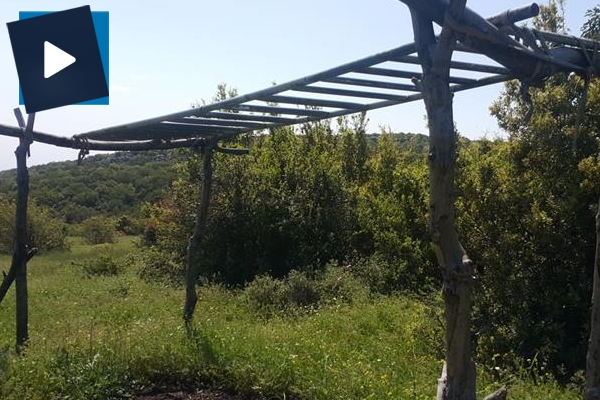 Afrin'de terör örgütünün 'eğitim alanı' bulundu