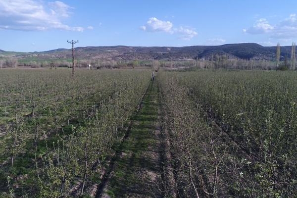 Köylüler bir araya gelip işsizliği çözdüler