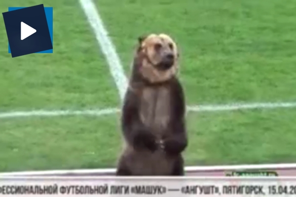 Başlama vuruşunu ayı yaptı