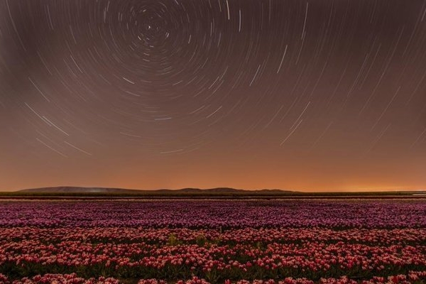 Gündüz ayrı gece ayrı büyülüyor