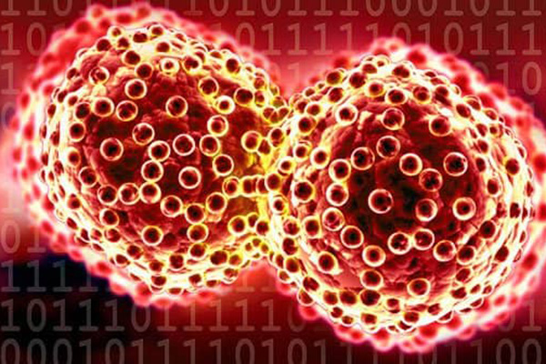 Kanser aşısının ilk denemesi yumurtalık kanserini yok etti