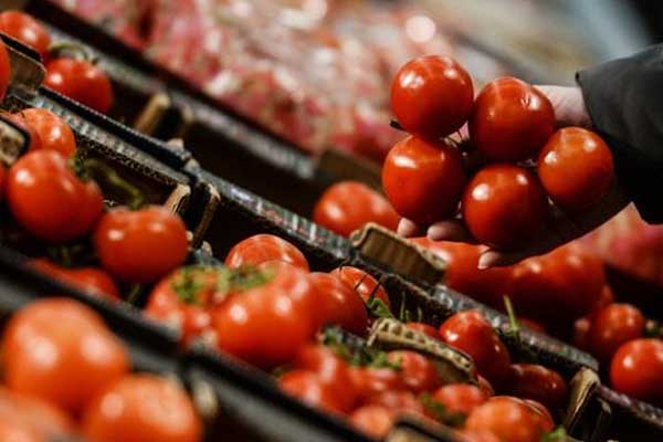 Rusya’ya domates ihracatında yeni gelişme!