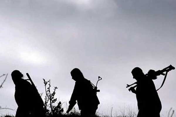 Siirt'te PKK'ya operasyon!