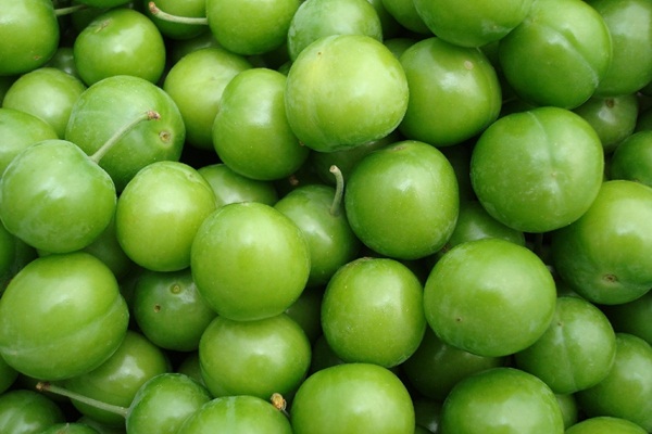 500 TL ile açılış yapan eriğin fiyatı şimdi ne kadar?