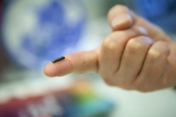 Binlerce İsveçli kimlik kartı yerine geçen çiplerle yaşıyor