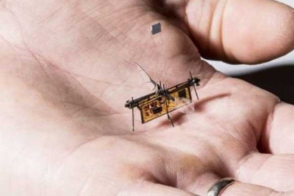 Kürdan ağırlığında robot böcek üretildi