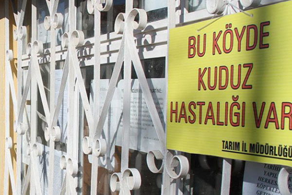 Bingöl'de bir köy karantinaya alındı