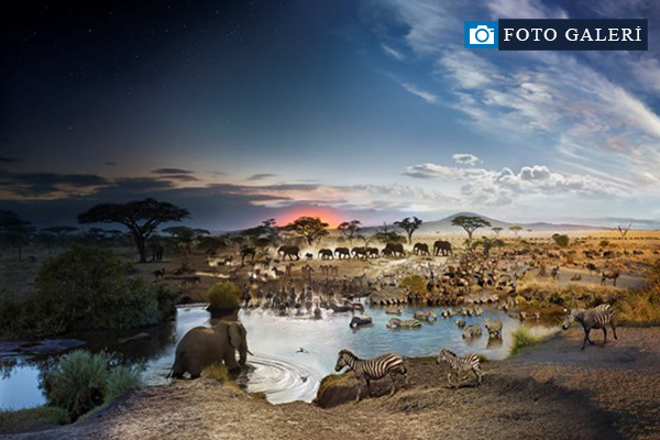 Gece ile gündüz aynı karede