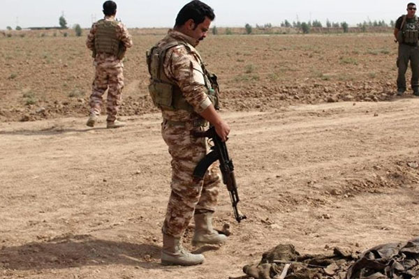 Şengal'de toplu mezar bulundu