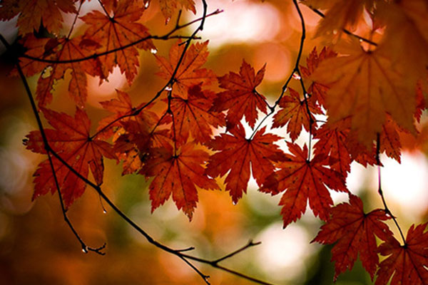 Haftanın ilk gününde hava durumu