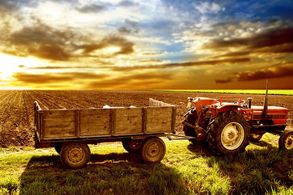 Tarım ve avcılık ürünleri ekimde arttı