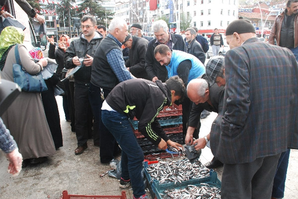 İhtiyaç sahiplerine 2 ton hamsi dağıttı