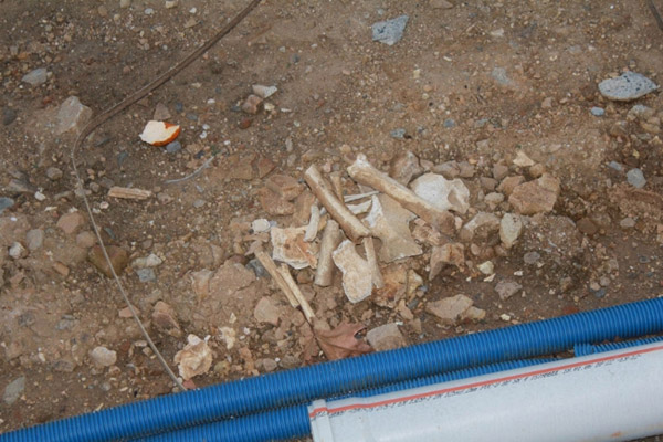 Taksim’deki çalışmalarda kemik ve kafatası çıktı