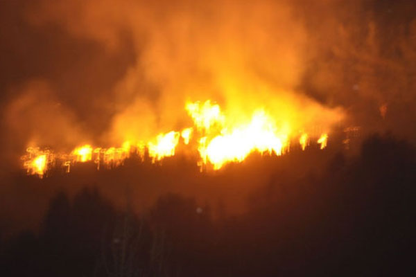 Manavgat'ta korkutan orman yangını