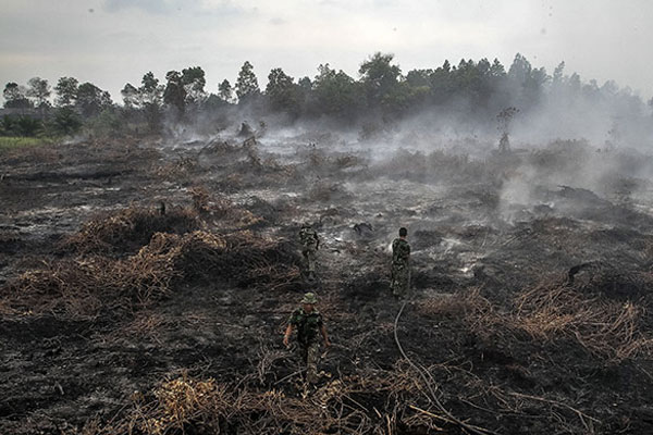Avustralya'da orman yangını: 4 ölü