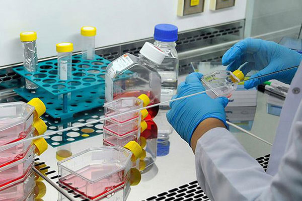 'Milli kanser ilacımızı üreteceğiz'